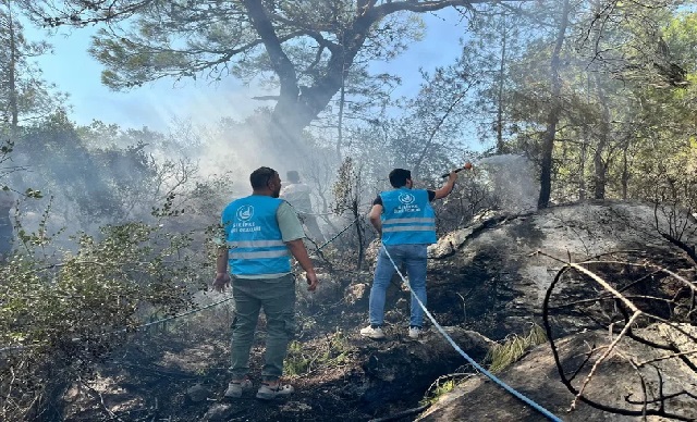 Yeşil Vatanımıza Sahip Çıkıyoruz!